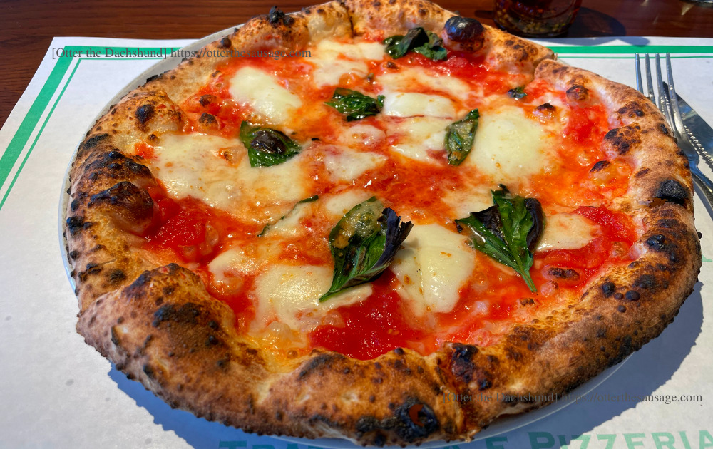 photo_犬と旅行_犬連れ旅行_Á FENESTELLA TRATTORIA E PIZZERIA_ア　フェネステッラ_軽井沢_犬連れランチ_イタリアン_ピッザリア_マルゲリータ